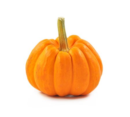 fresh organic pumpkin on white backgroundの写真素材