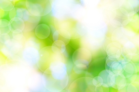 abstract spring green background and light reflectの写真素材