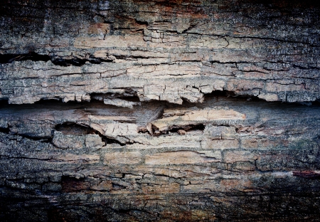 abstract the old grunge wall for backgroundの写真素材