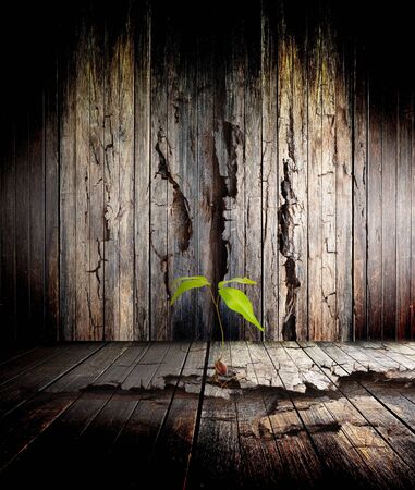 The tree on the old grunge wallの写真素材