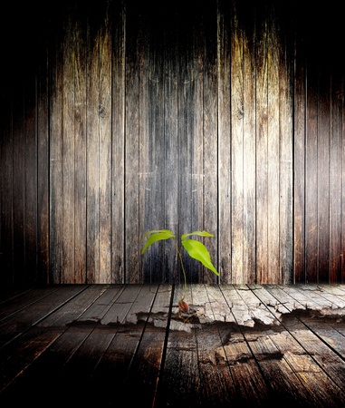 The tree on the old grunge wallの写真素材