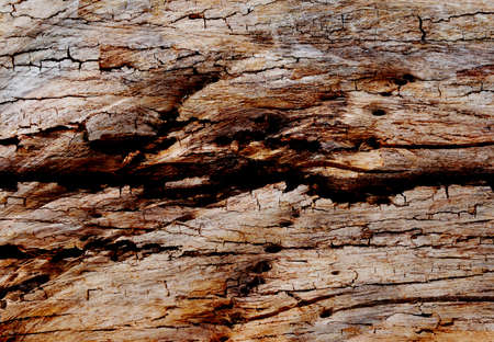 abstract the old grunge wall for backgroundの写真素材
