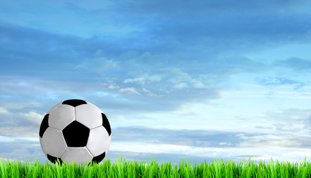 soccer field and beautiful blue skyの写真素材