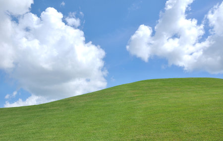 fresh grass and beautiful blue skyの写真素材