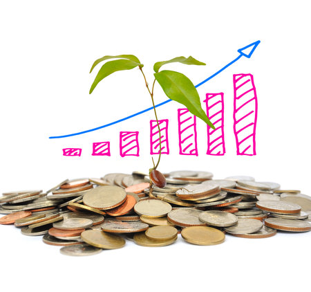 the tree and coin on white backgroundの写真素材