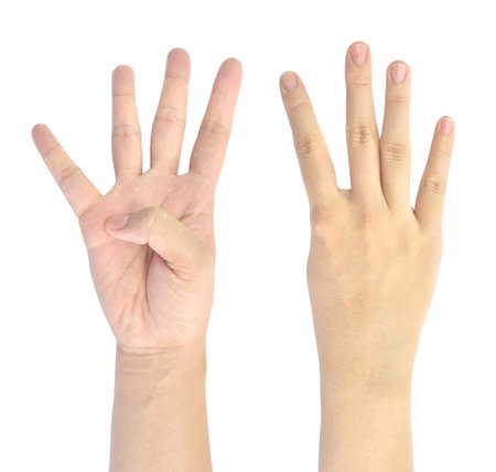 the symbol of woman hand isolated on white backgroundの写真素材