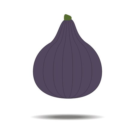 Fig Fruit Icon on the white background. Vector illustrationのイラスト素材