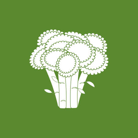 Broccoli Vegetable Icon isolated on a green background. Vector illustrationのイラスト素材