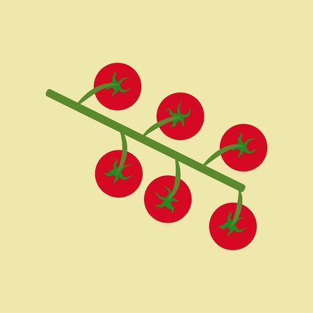 Cherry Tomato Icon isolated on a yellow background. Vector illustrationのイラスト素材