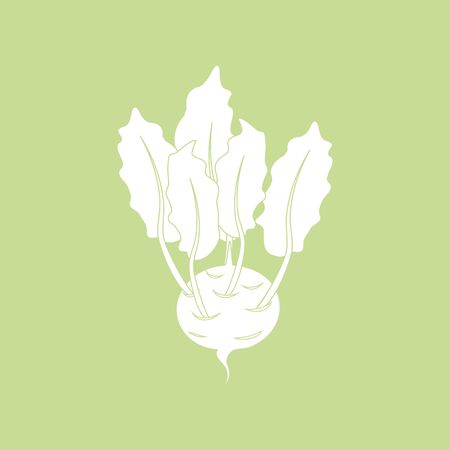 Kohlrabi Vegetable Icon on a green background. Silhouette. Vector illustrationのイラスト素材