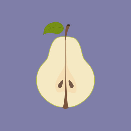 Pear fruit illustration on the purple background. illustrationのイラスト素材