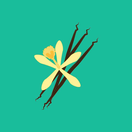 Vanilla flower illustration on the green background. Vector illustrationのイラスト素材