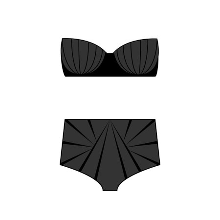 Lace lingerie vector illustration on the white background. Lingerie. Vector illustrationのイラスト素材