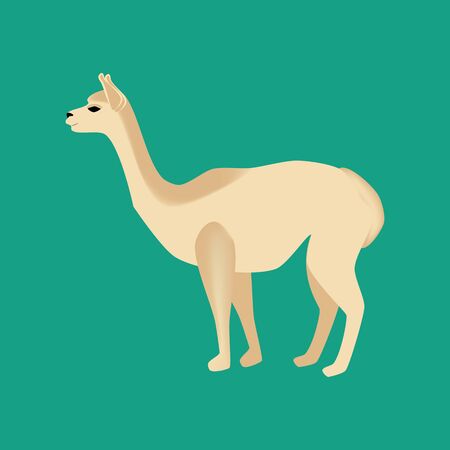 Vicuna animal illustration on the green background. Vector illustrationのイラスト素材