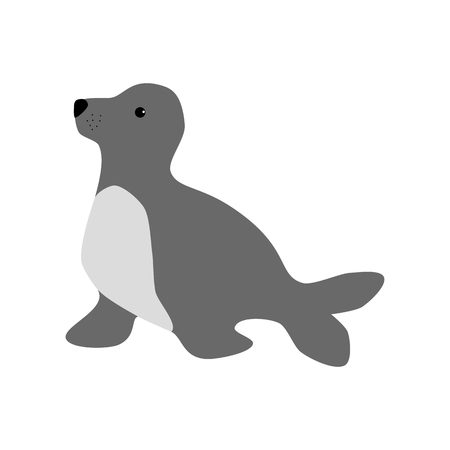 Seal illustration. Sea lion on the white background. Vector illustrationのイラスト素材