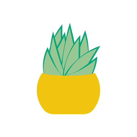 Succulent illustration on the white background. Vector illustrationのイラスト素材