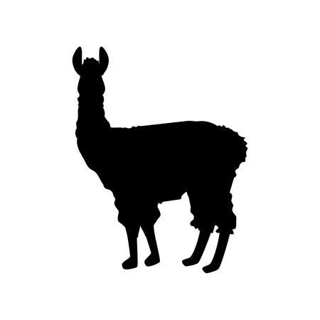 Llama silhouette illustration on the white background. Vector illustrationのイラスト素材