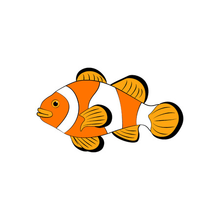 Amphiprion ocellaris clownfishのイラスト素材