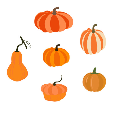 Pumpkin illustration on the white background. Vector illustrationのイラスト素材