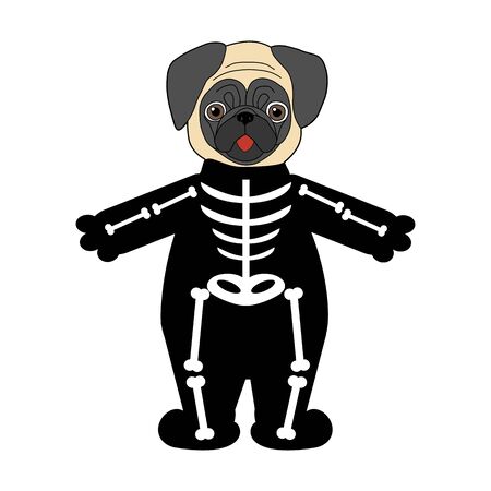 Halloween pug in skeleton costume illustration on the white background. Vector illustrationのイラスト素材