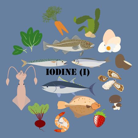 Iodine mineral rich food illustration on the blue background. Vector illustrationのイラスト素材