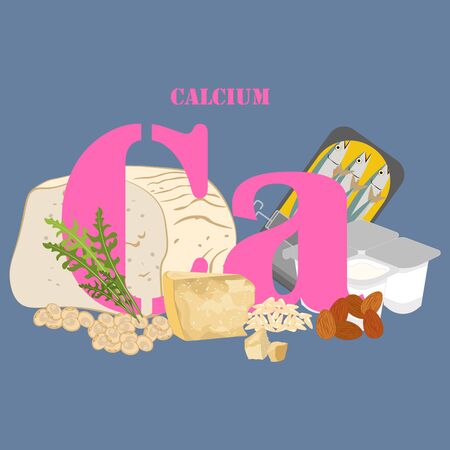 Calcium rich foods illustration on the blue background. Vector illustrationのイラスト素材