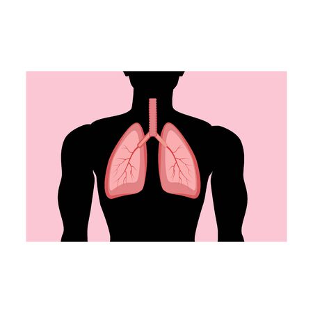 Lungs health vector illustration on the white background. Vector illustrationのイラスト素材