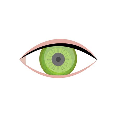 Human eye health and care vector illustrationのイラスト素材