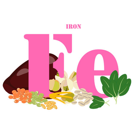 Iron healthy nutrient rich food vector illustrationのイラスト素材