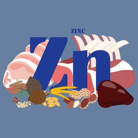 Zinc rich foods illustration on the blue background. Vector illustrationのイラスト素材