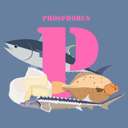 Phosphorus mineral illustration on the white background. Vector illustrationのイラスト素材