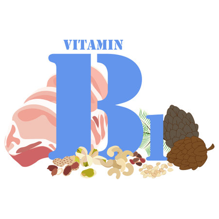 Vitamin B1 illustration on the white background. Vector illustrationのイラスト素材
