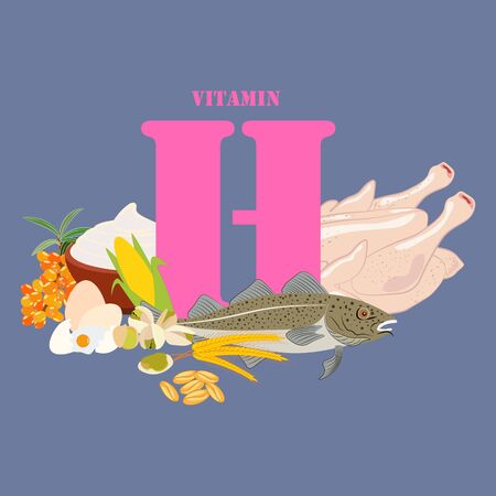 Vitamin H healthy nutrient rich food vector illustrationのイラスト素材