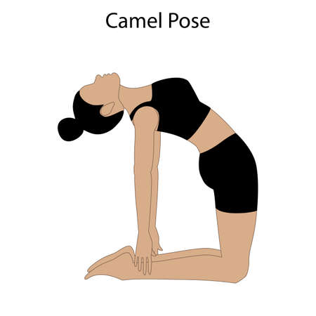 Camel pose yoga workout on the white background. Vector illustrationのイラスト素材