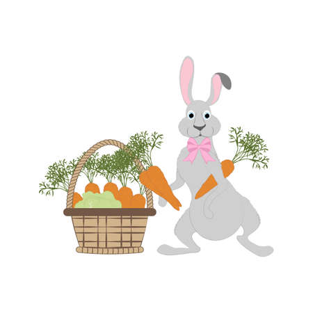 Rabbit with carrot vector illustration on the white background.のイラスト素材