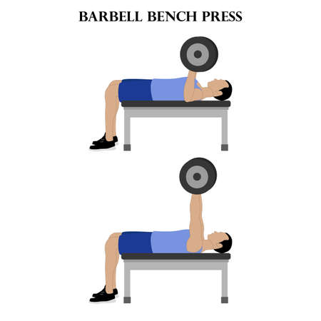 Barbell bench press vector illustration on the white background.のイラスト素材