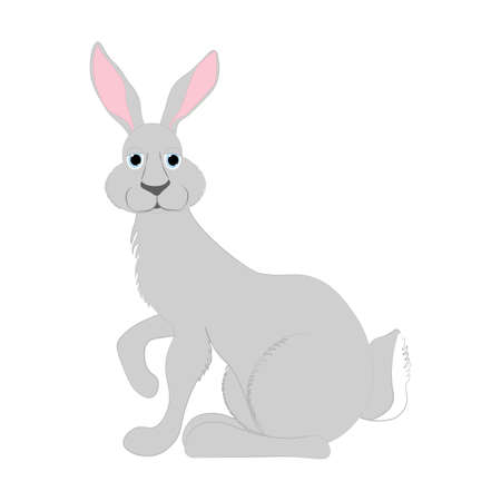 Rabbit vector illustration on the white background.のイラスト素材
