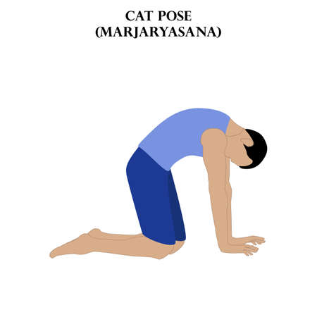 Cat pose yoga workout. Marjaryasana. Man doing yoga illustration on the white background. Vector illustrationのイラスト素材