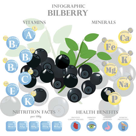 Health benefits and nutrition facts of bilberry infographic vector illustration.のイラスト素材