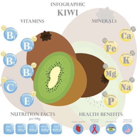 Infographic about nutrients in kiwi. Vector illustration of kiwi, vitamins, fruits, healthy food, nutrient, diet. Vitamins and minerals. Health benefits of kiwi.のイラスト素材