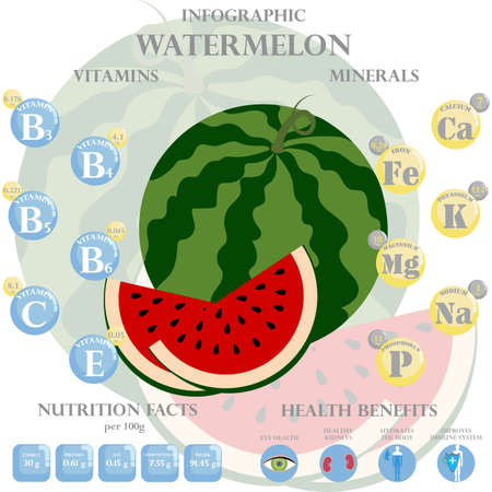 Infographic about nutrients in watermelon. Vector illustration of watermelon, vitamins, fruits, healthy food, nutrient, diet. Vitamins and minerals. Health benefits of watermelon.のイラスト素材
