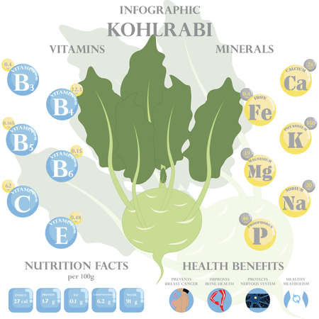 Kohlrabi nutrition facts and health benefits infographicのイラスト素材