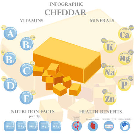 Cheddar nutrition facts and health benefits infographic on the white background. Vector illustrationのイラスト素材