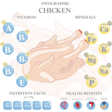 Chicken nutrition facts and health benefits infographic on the white background. Vector illustrationのイラスト素材
