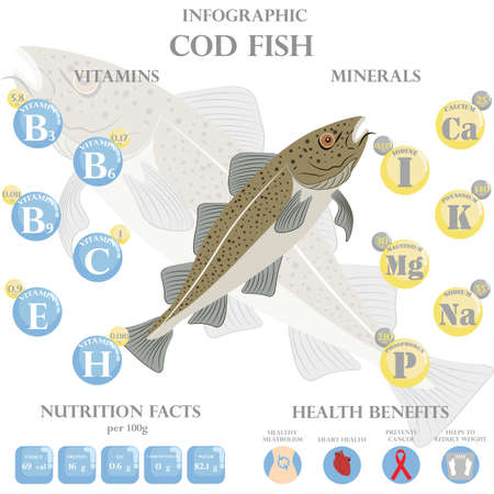 Cod fish nutrition facts and health benefits infographic on the white background. Vector illustrationのイラスト素材