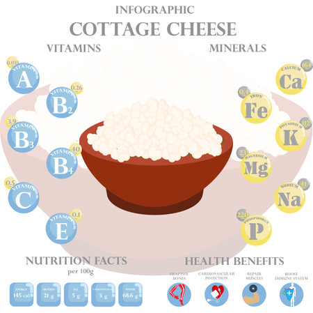Cottage cheese nutrition facts and health benefits infographic on the white background. Vector illustrationのイラスト素材