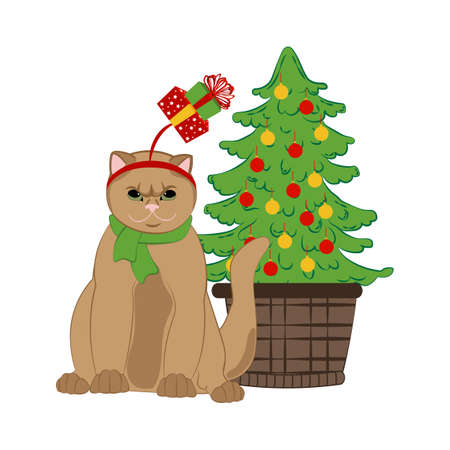 Cat in christmas holiday hat and scarf. Merry Christmas and Happy New Year greeting card.のイラスト素材