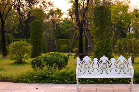 The White Bench in The Park (Day Time)の写真素材