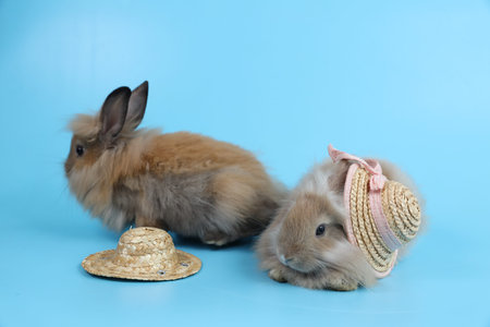 two young cute brown easter bunny rabbits with hats on blue background