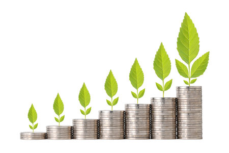 Business investment and saving growth for advertising concept. Plant growing on stacking coin on...